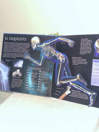 El cuerpo humano