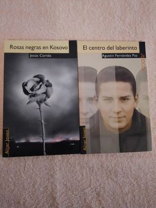 LOTE (I) DE 11 LIBROS DE NARRATIVA JUVENIL