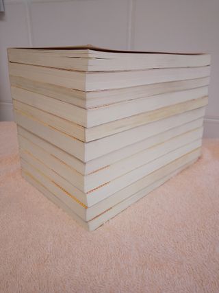 LOTE (I) DE 11 LIBROS DE NARRATIVA JUVENIL