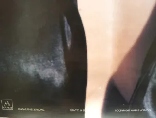 Póster de Madonna 1998 61x86.5 cm