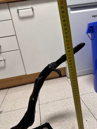 Raíz para acuario red mor