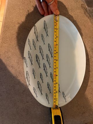 Set 6 Piatti Ovali Vetro Rio Mare Pesci