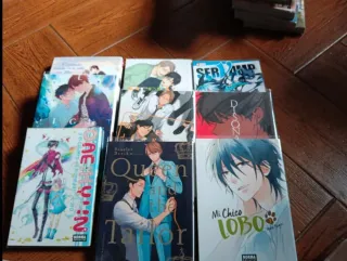 Mangas varios precio 5€/tomo