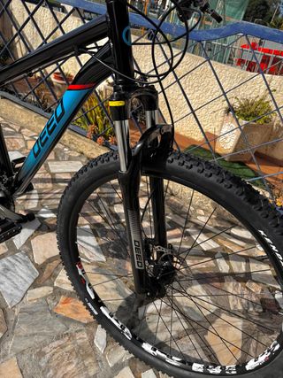 Bicicleta Deed Hoop 29