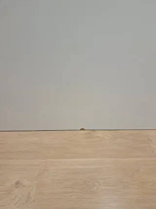 Puerta blanca con cristal opaco y marco