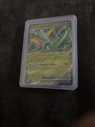 Carta Pokémon Entrenador Árbol Colosal