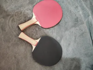 Palas de ping pong con funda