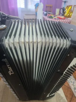 Acordeón Parrot 120 Bajos