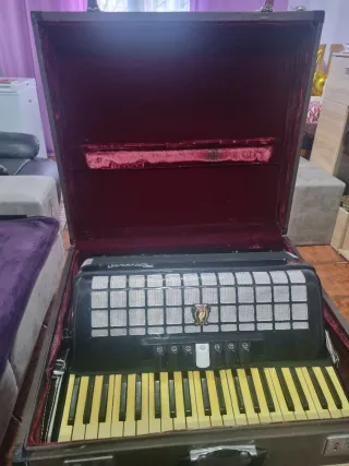 Acordeón Parrot 120 Bajos