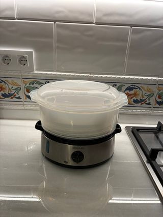 Vaporera eléctrica Cecotec