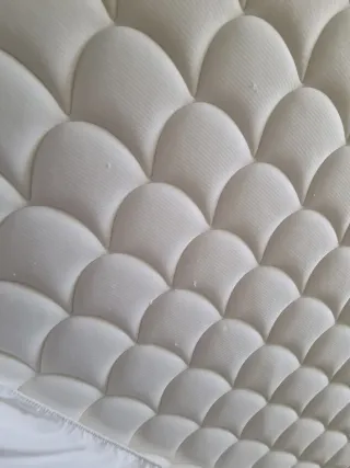 Colchón Visco Cecotec+Funda+Plástico