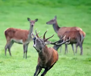 Montería 21/02/2026