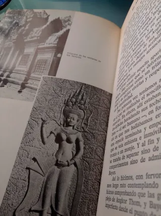 En Asia se muere bajo las estrellas