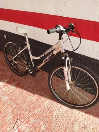 Bicicleta TOPBIKE 80 Aluminio