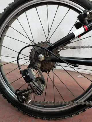 Bicicleta MTB Infantil DTB