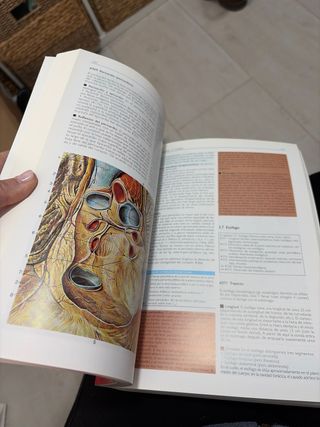 Anatomia 4b* Ed. - Estructura y Morfologia del ...