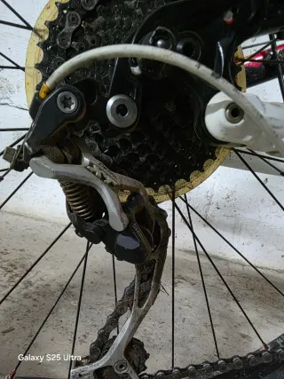 Bici Specialized Elite Camber