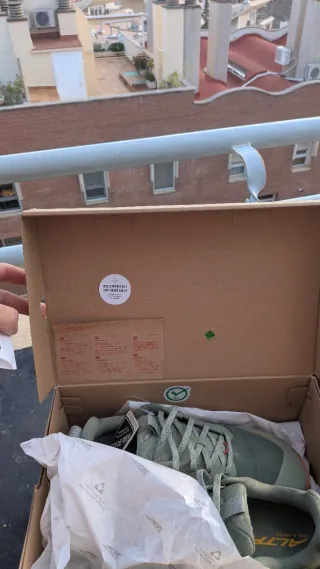 Altra Peak 9+ Goretex Zapatillas Trail Running