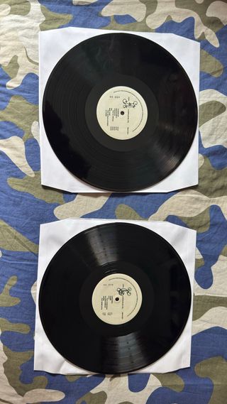 Vinilo La Espalda del Sol Diego 900