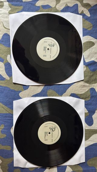 Vinilo La Espalda del Sol Diego 900