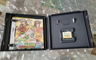 Atelier Lina Rina Alchemist Nintendo DS Japones