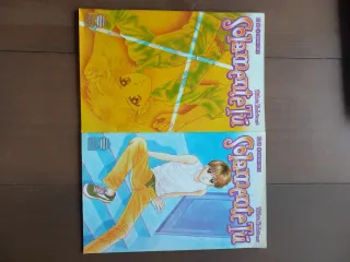 Comics manga Solamente tú de Wataru Yoshizumi