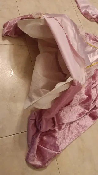 Disfraz Princesa Rosa Terciopelo