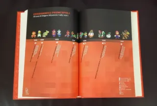 Libri sui Videogiochi leggendari: Super Mario e Ze