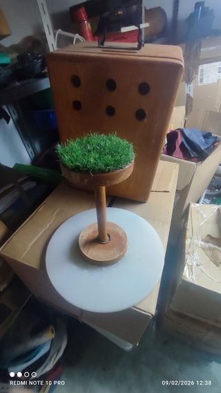 Transportín y posadero Aves pequeñas,,en Cáceres.