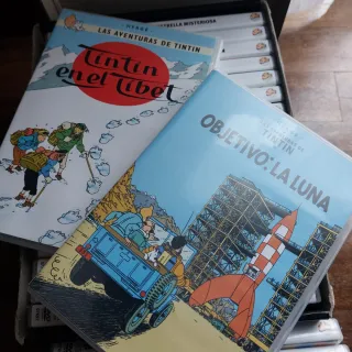 Colección Tintín DVD (Español)