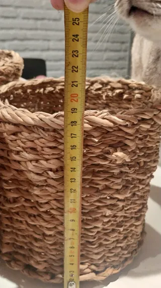 Maceteros de mimbre (Set de 3)