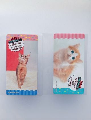 Tarjetas coleccionables de gatos