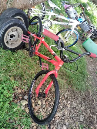 Haro, Bmx Race Expert Roja