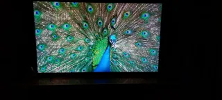 Samsung 75 TV