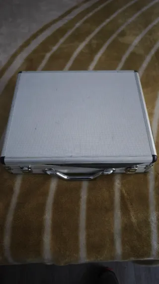 Micrófono Inalámbrico Profesional Doble Canal