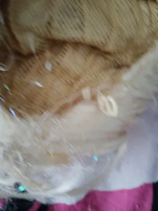 Peluca Elsa Frozen rubia trenzada con adornos