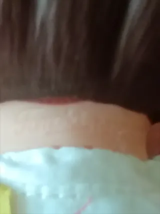 Muñeca Heidi Famosa