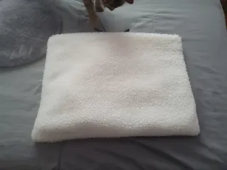 Cama radiador para gato