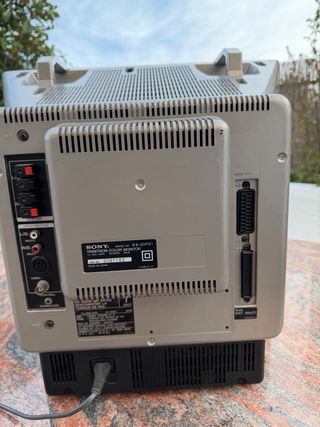 Monitor Sony Trinitron Negro KX20PS1