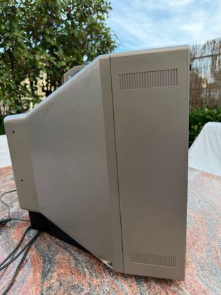 Monitor Sony Trinitron Negro KX20PS1