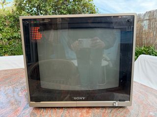 Monitor Sony Trinitron Negro KX20PS1