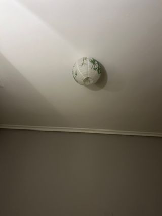 Farolillos de papel con diseño de bambú