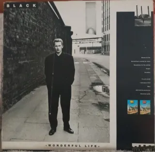 Vinilo Black - Wonderful Life