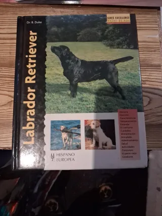 Labrador Retriever (Spanish Edition)
