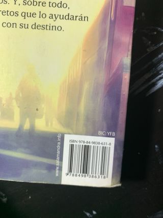 Harry Potter y la piedra filosofal (Harry Potte...