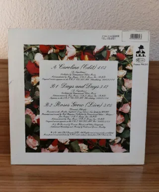 12" Vinilo 1990 Concrete Blonde - Caroline