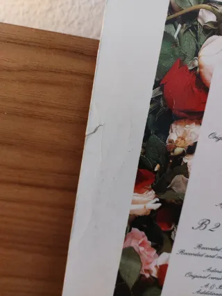 12" Vinilo 1990 Concrete Blonde - Caroline