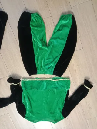 Disfraz Carnaval Verde y Azul