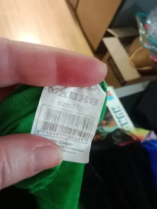 Disfraz Carnaval Verde y Azul