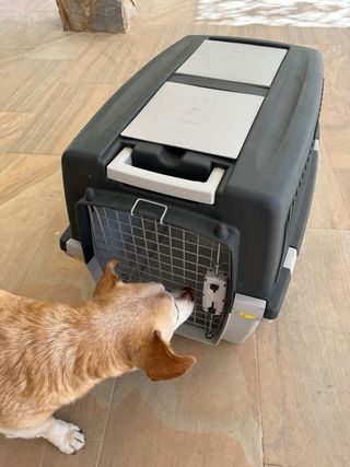 TRANSPORTIN PERROS GRANDE XXL